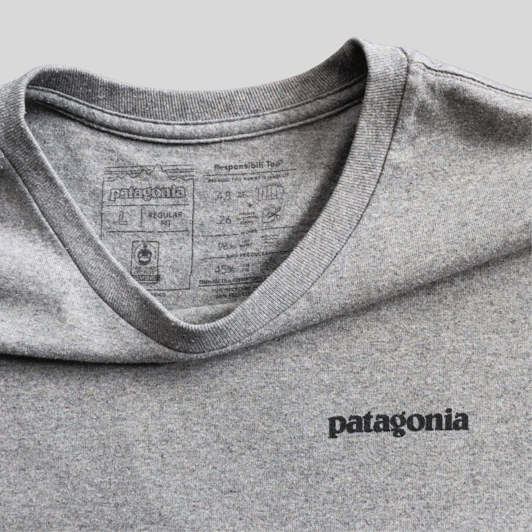 Camiseta Patagonia