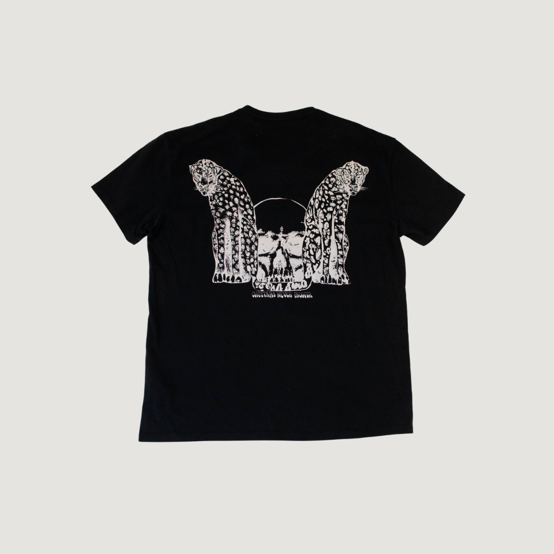 Camiseta All Saints