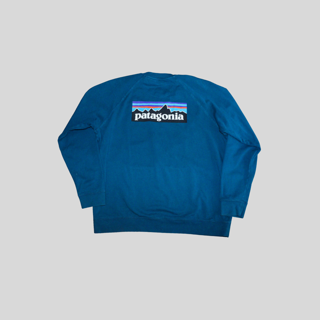 Sudadera Patagonia