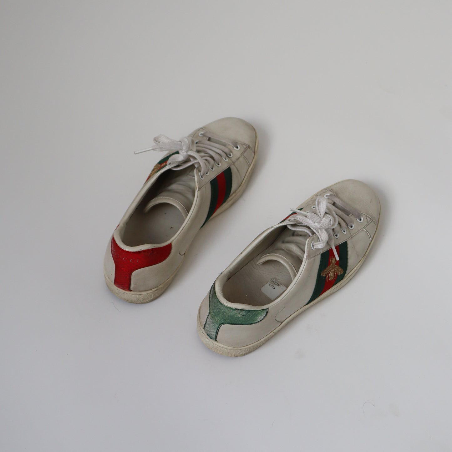 Tenis Gucci