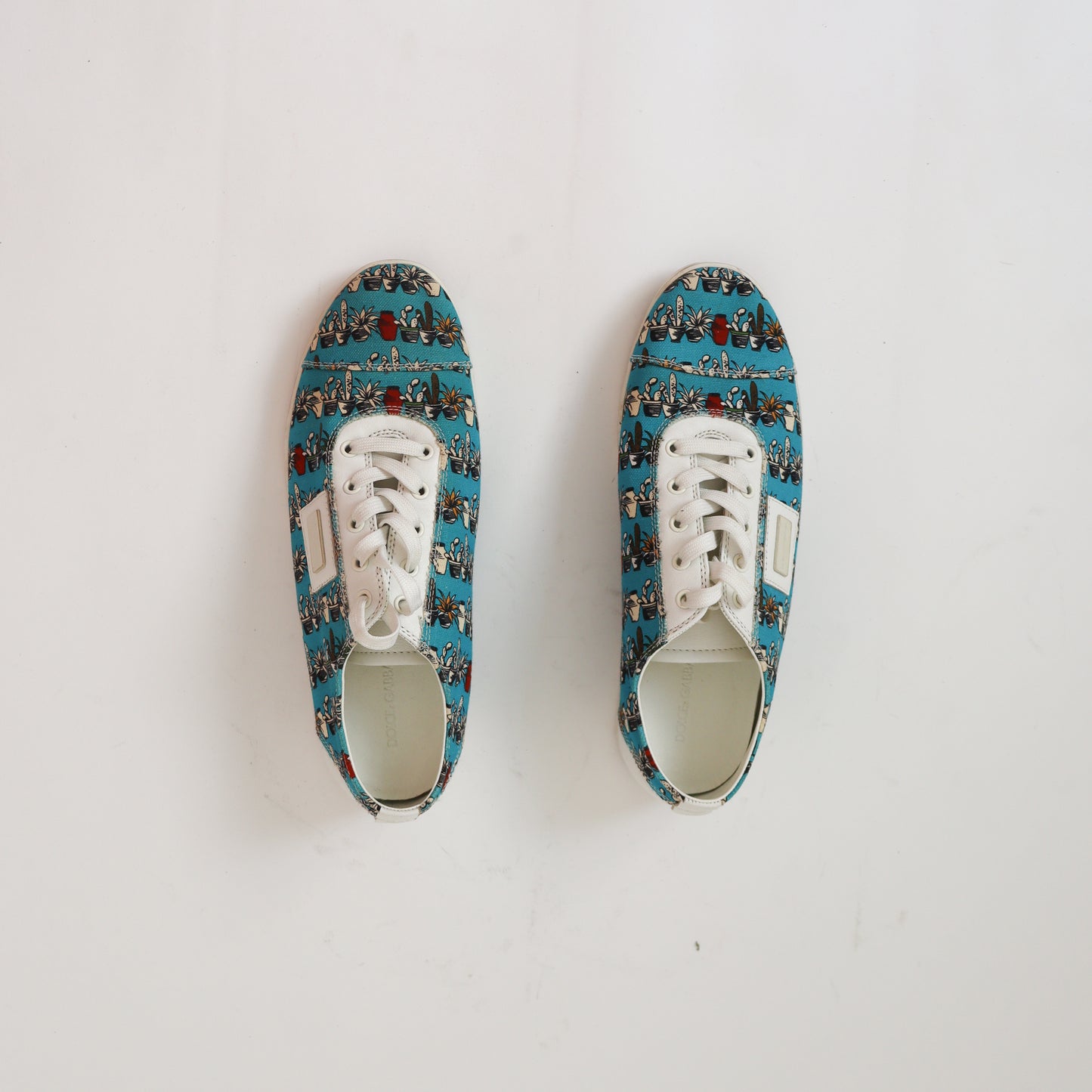Tenis Dolce & Gabbana