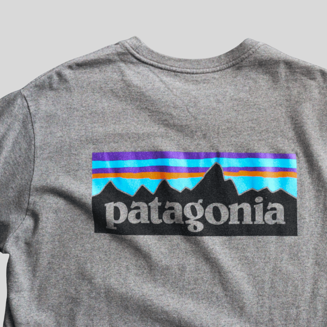 Camiseta Patagonia