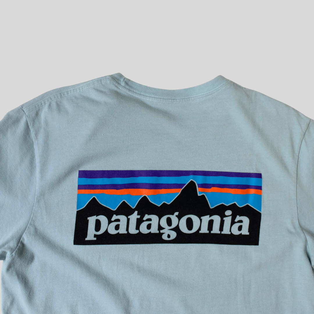 Camiseta Patagonia