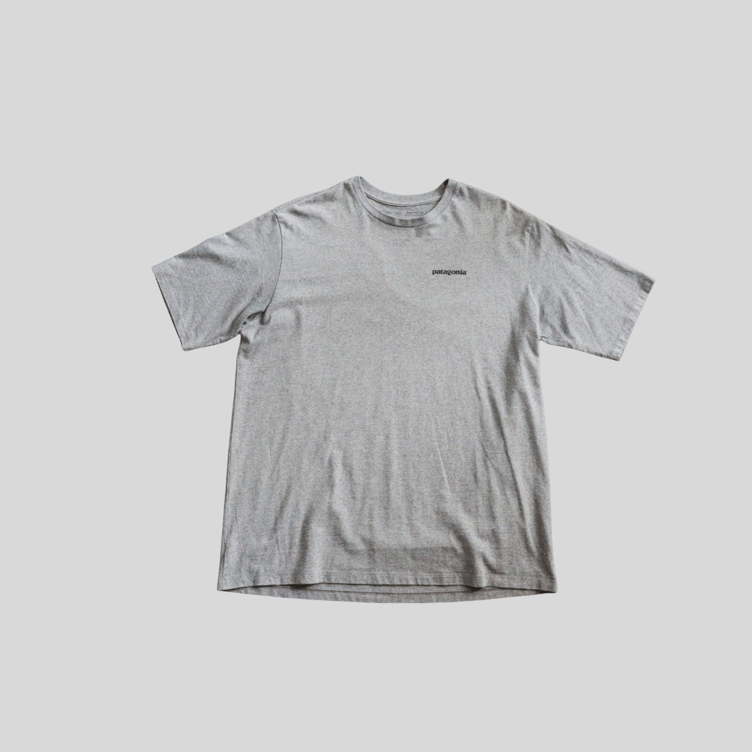 Camiseta Patagonia