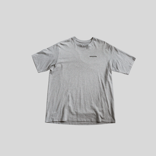 Camiseta Patagonia