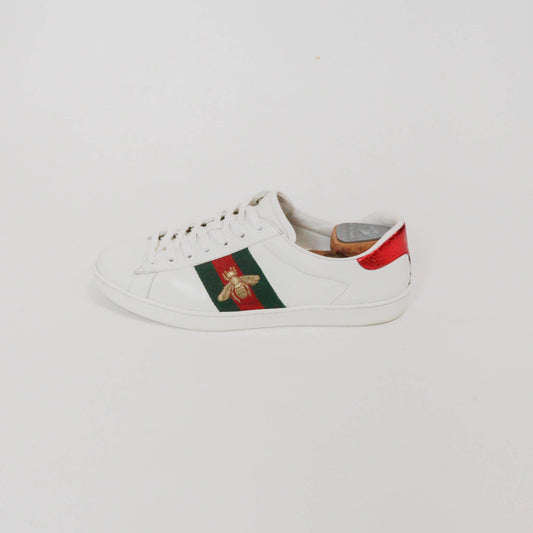 Tenis Gucci
