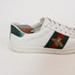 Tenis Gucci